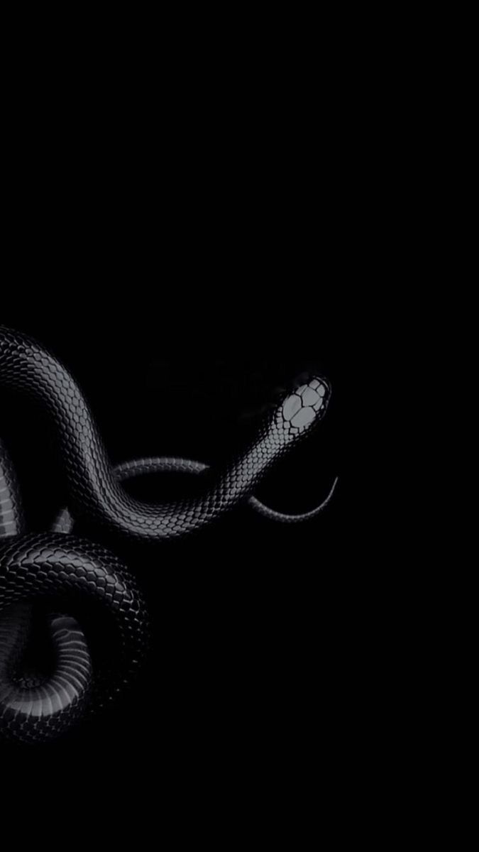 ursnakegoddess OnlyFans profile picture