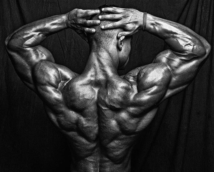 fitfella OnlyFans profile picture