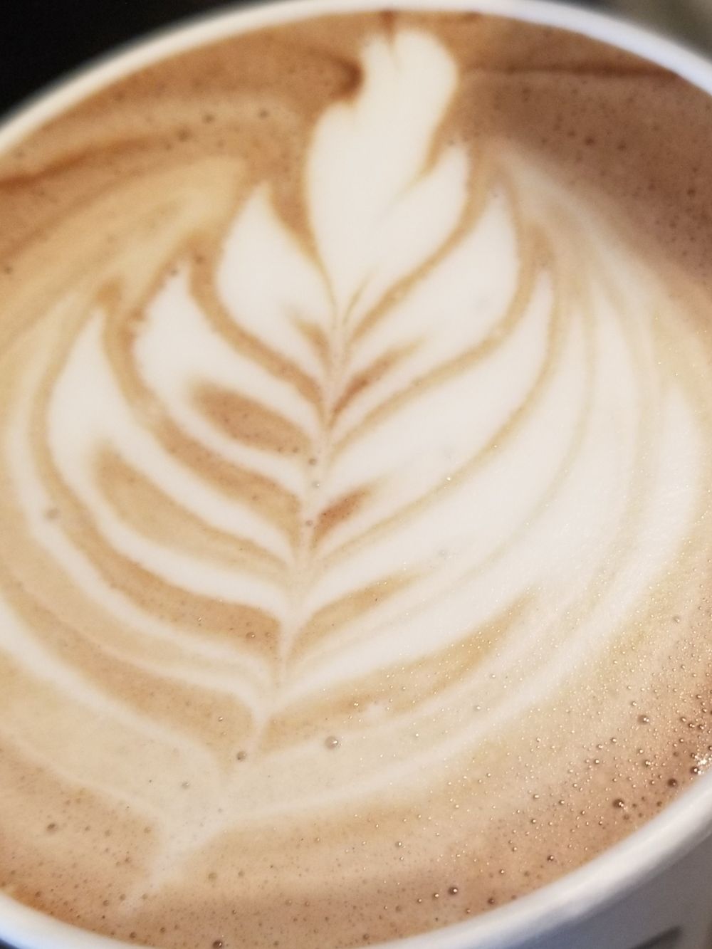 rosetta748 OnlyFans profile picture