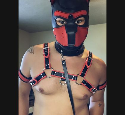 eddiehardie4u OnlyFans picture