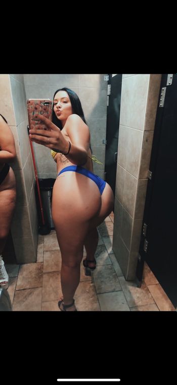 snowbunny