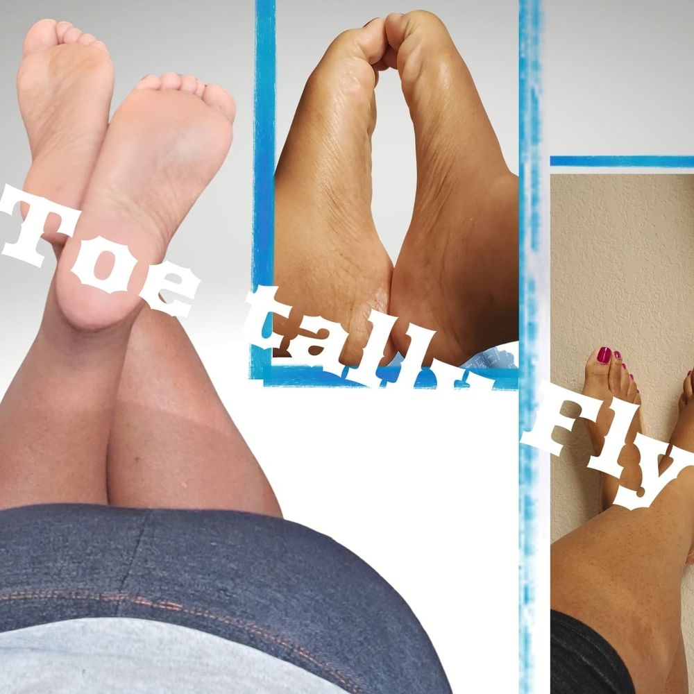 toetallyfly OnlyFans profile picture