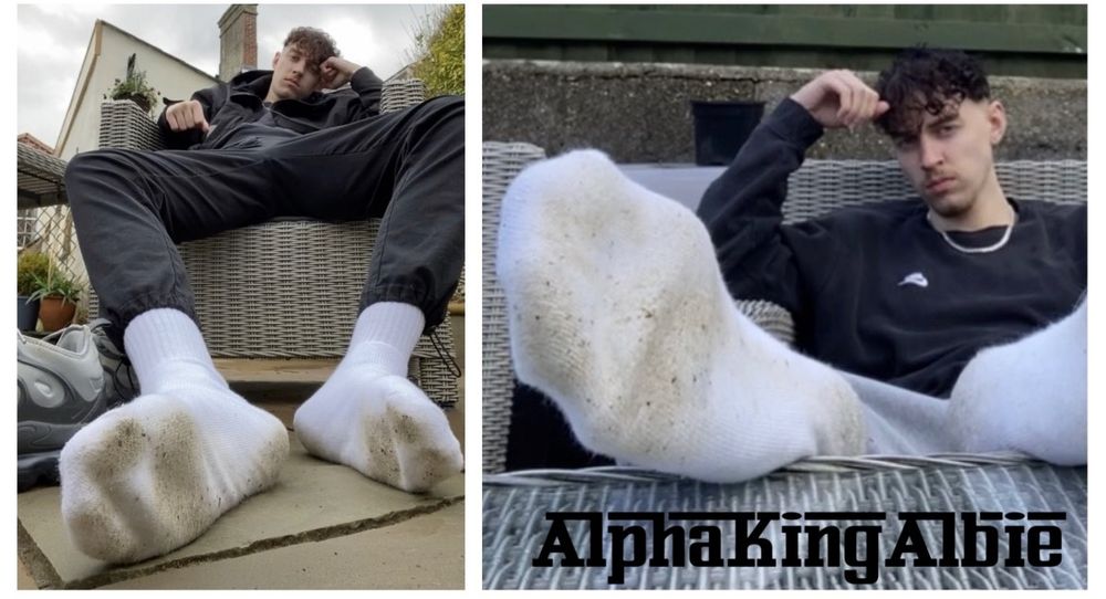 alphakingalb OnlyFans profile picture