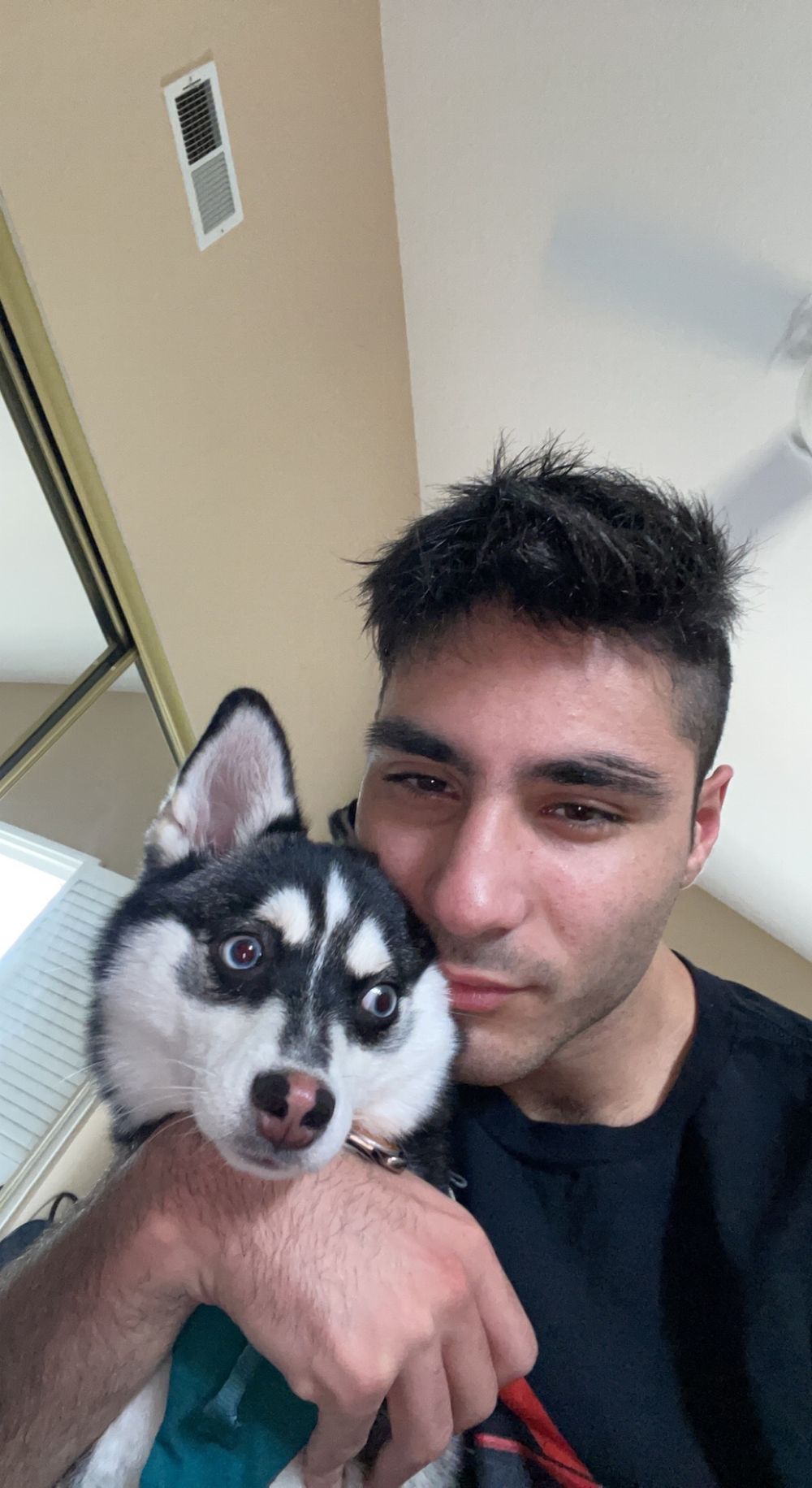 reza_moeeni OnlyFans profile picture