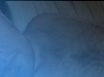 klashton69 OnlyFans profile picture