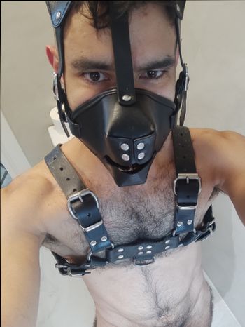 Tenderpig