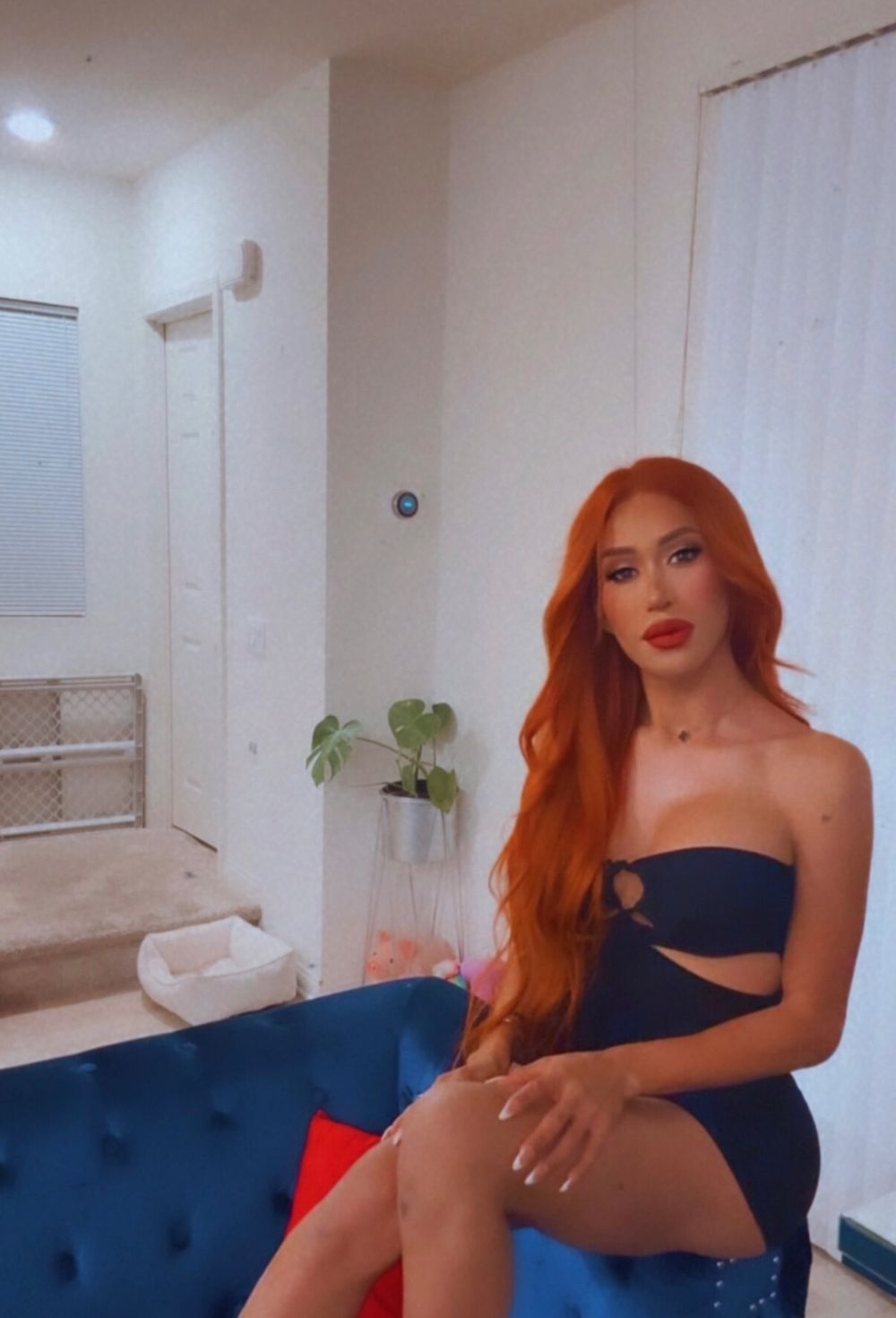tsbarbiets OnlyFans profile picture
