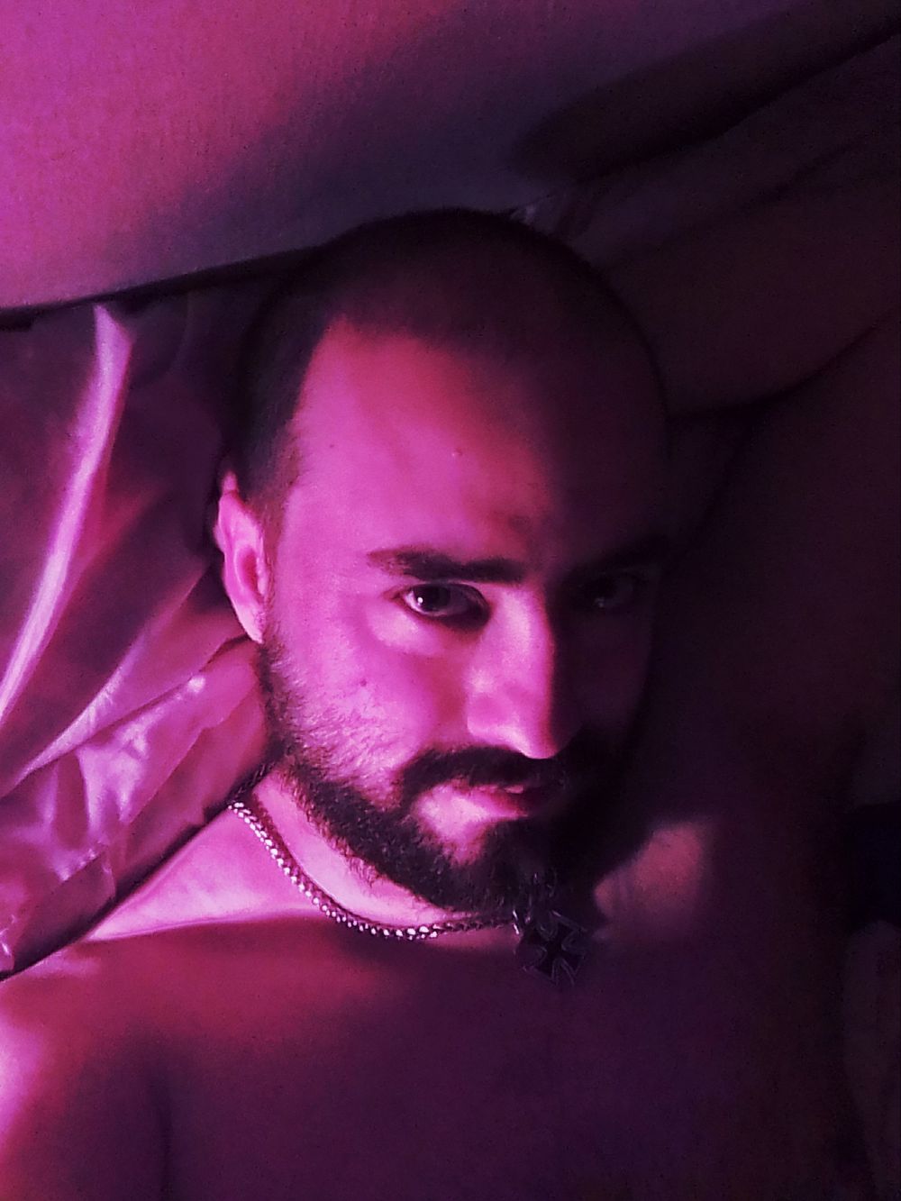 thebutcher21 OnlyFans profile picture