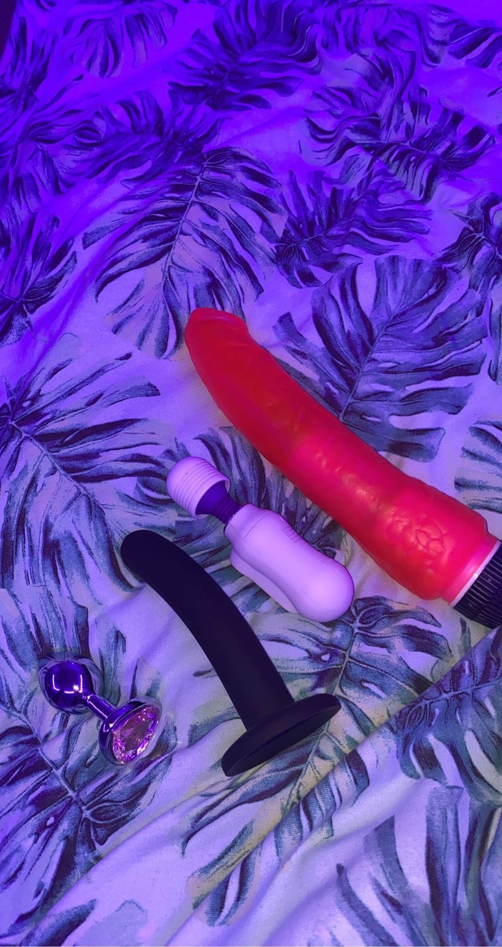 jamiegrayy OnlyFans profile picture