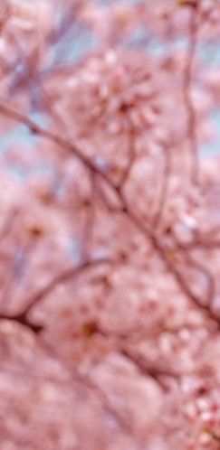 shira.a OnlyFans - Free Trial - Photos - Socials | FansMetrics.com