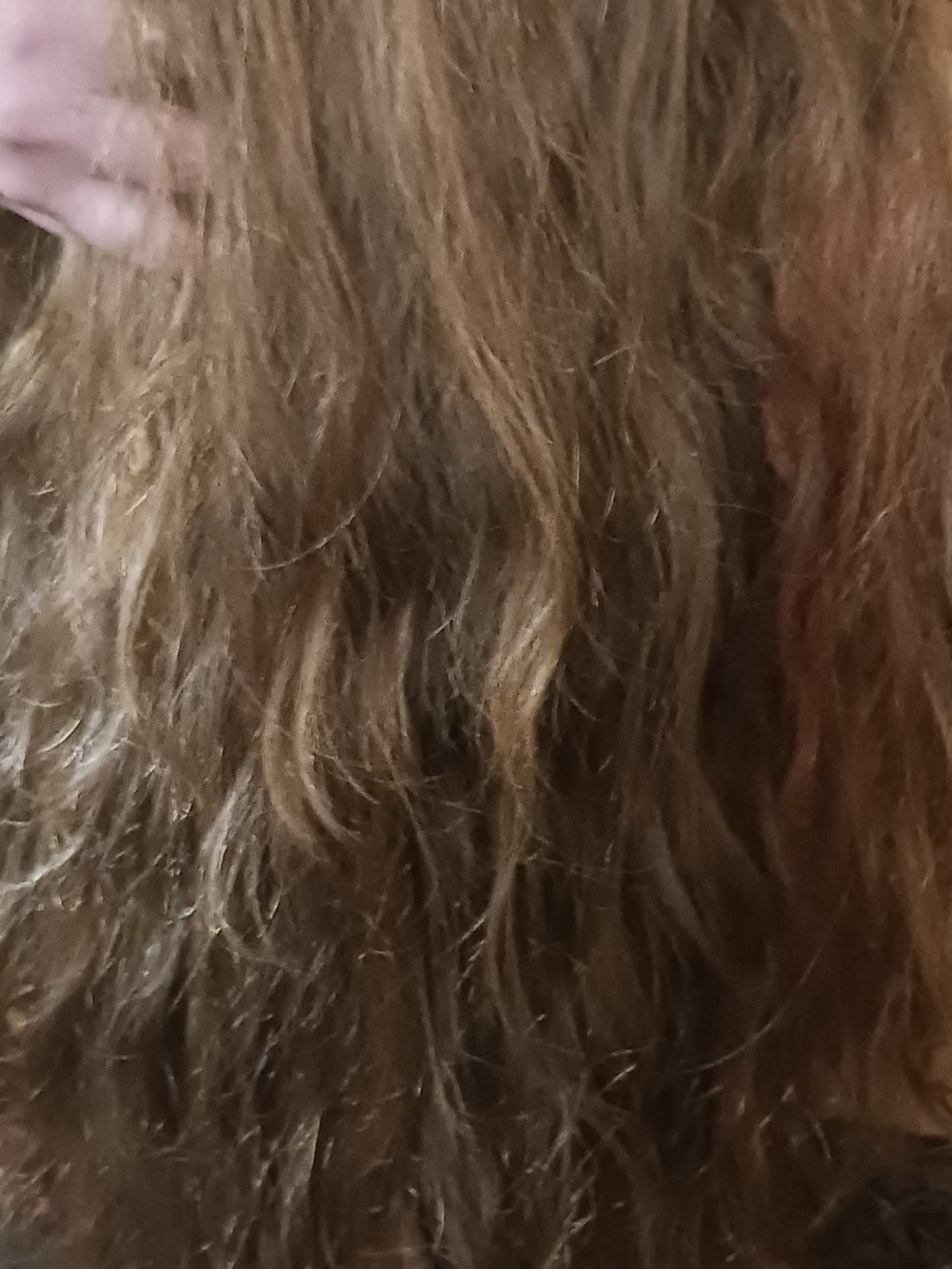 sexyredbae OnlyFans profile picture