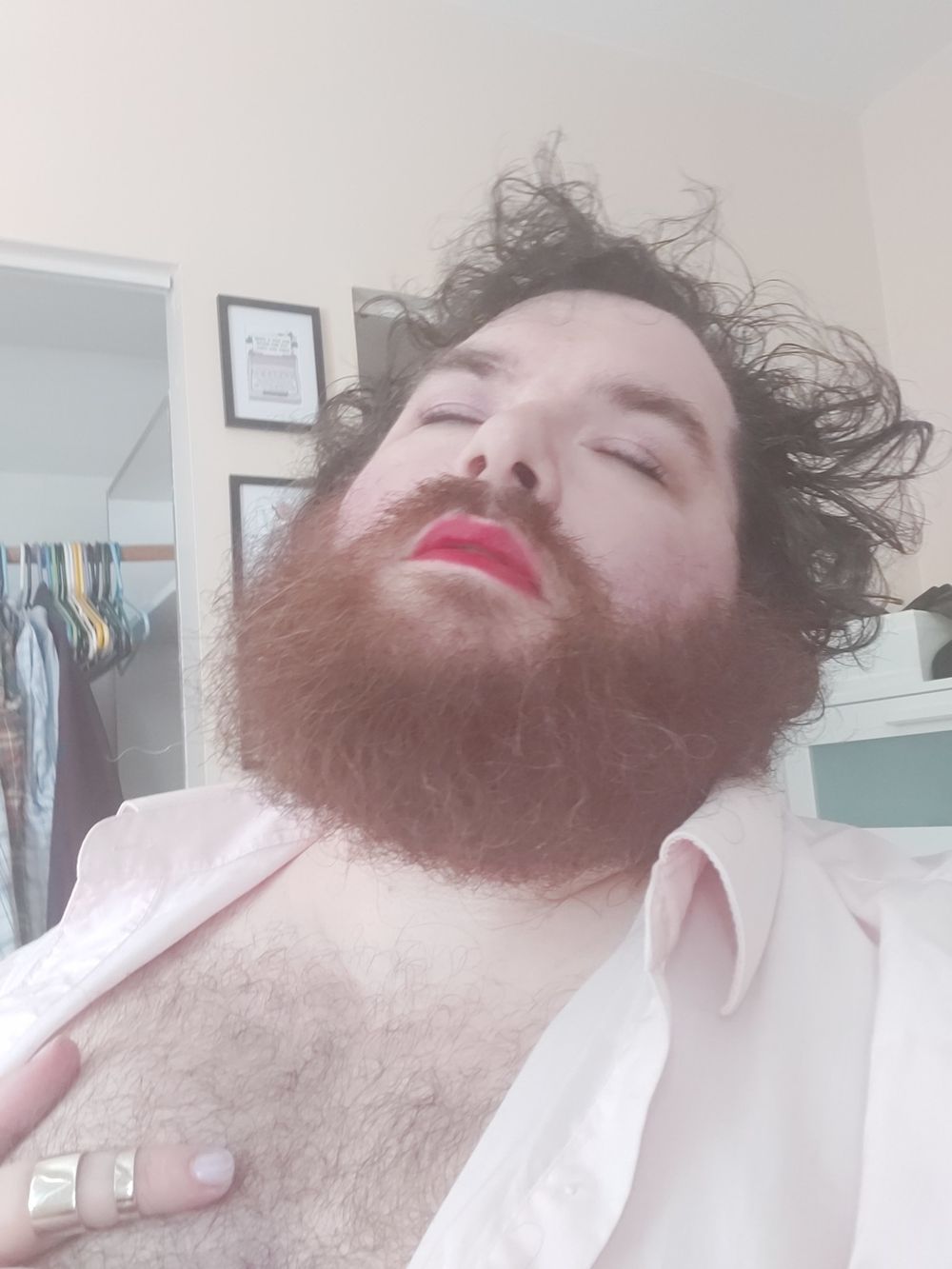 shelvethebooks OnlyFans profile picture