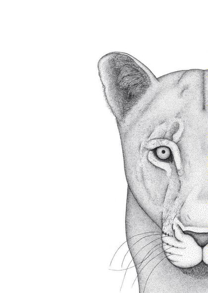 nalla_the_lioness OnlyFans picture