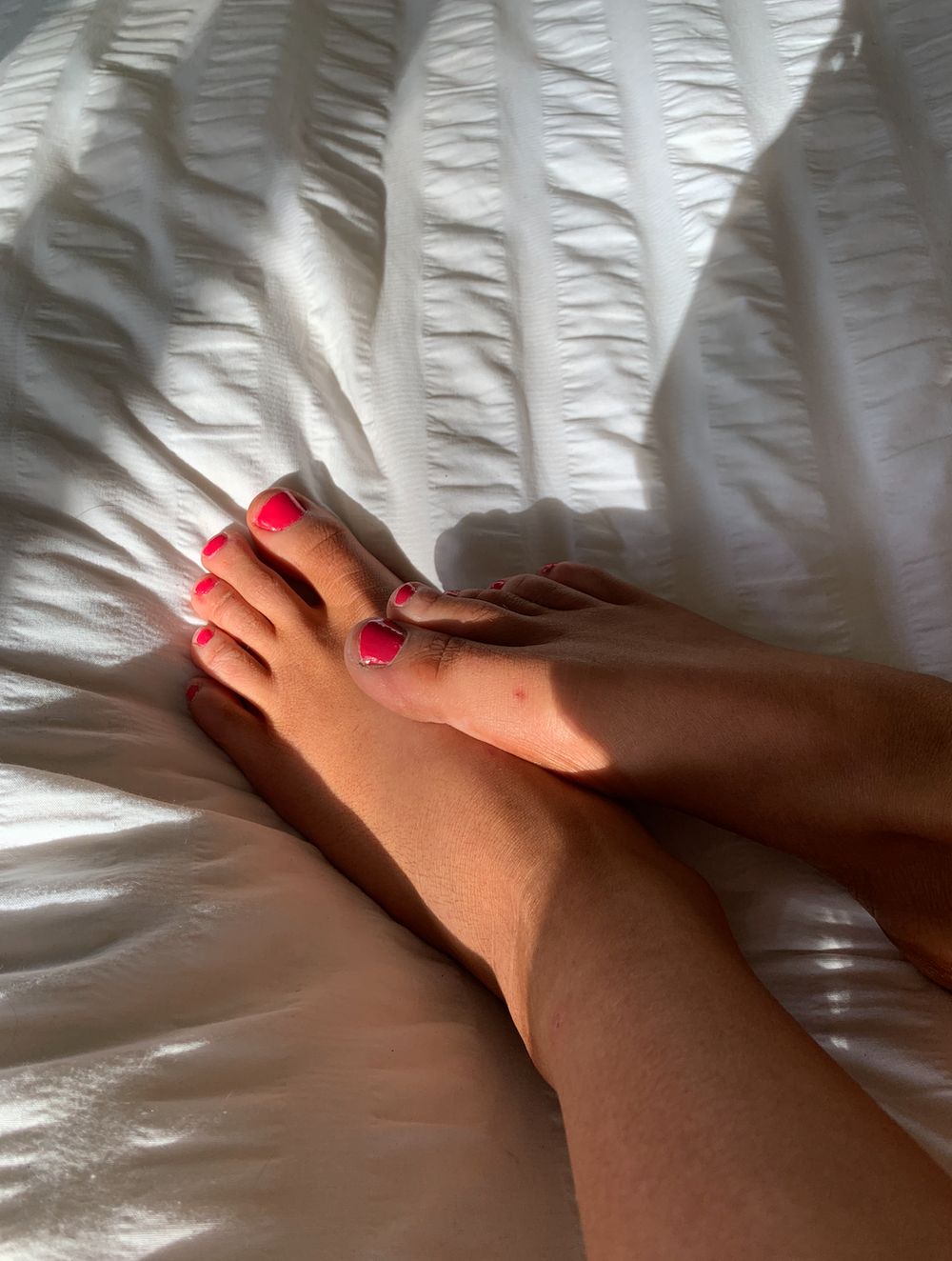 hollysfeet_pics OnlyFans profile picture