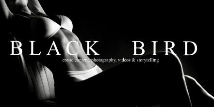 blackbirderotica OnlyFans profile picture