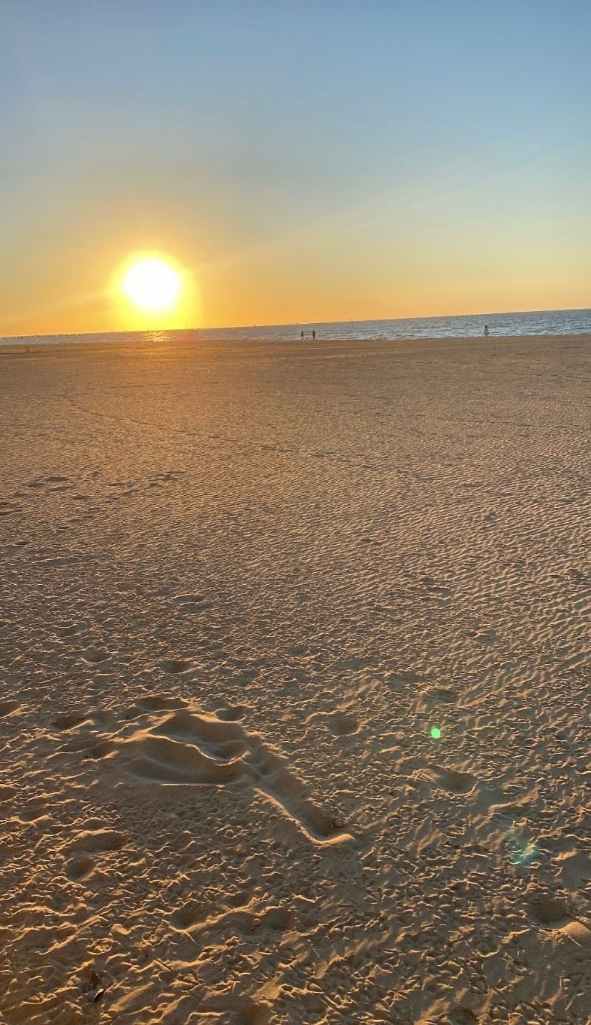 feetsev OnlyFans profile picture