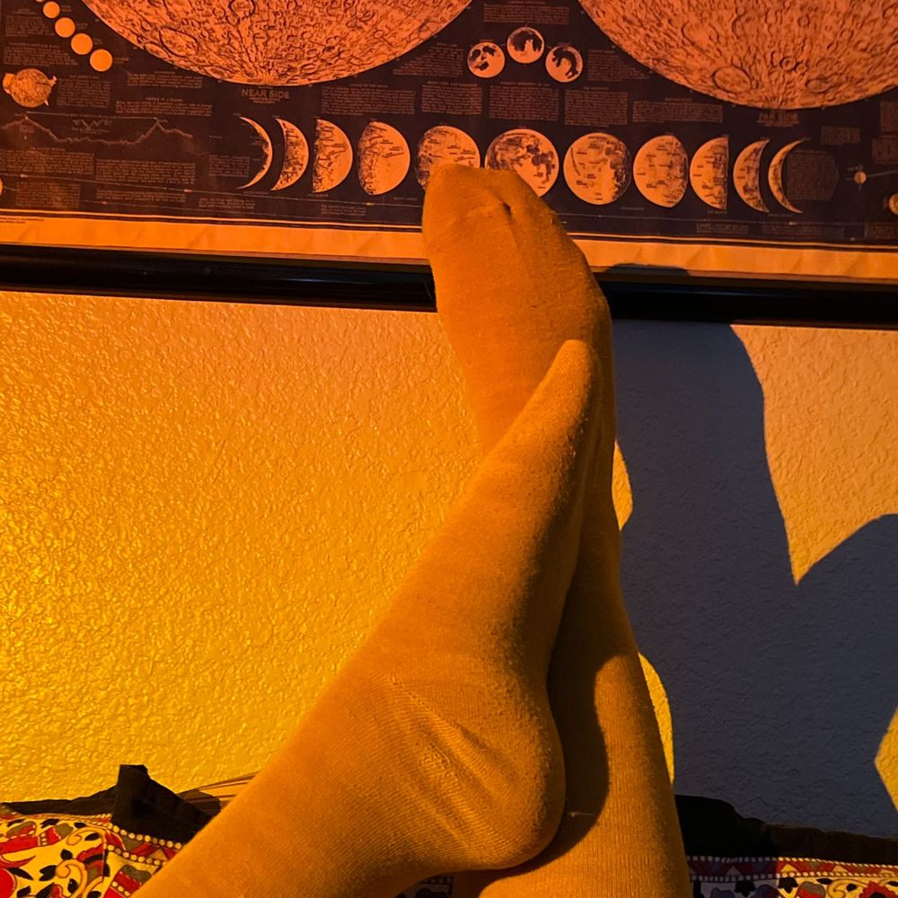 lunarlyla OnlyFans profile picture