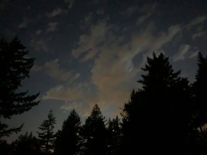 Best Hot Sharon Lee OnlyFans Accounts FansMetrics