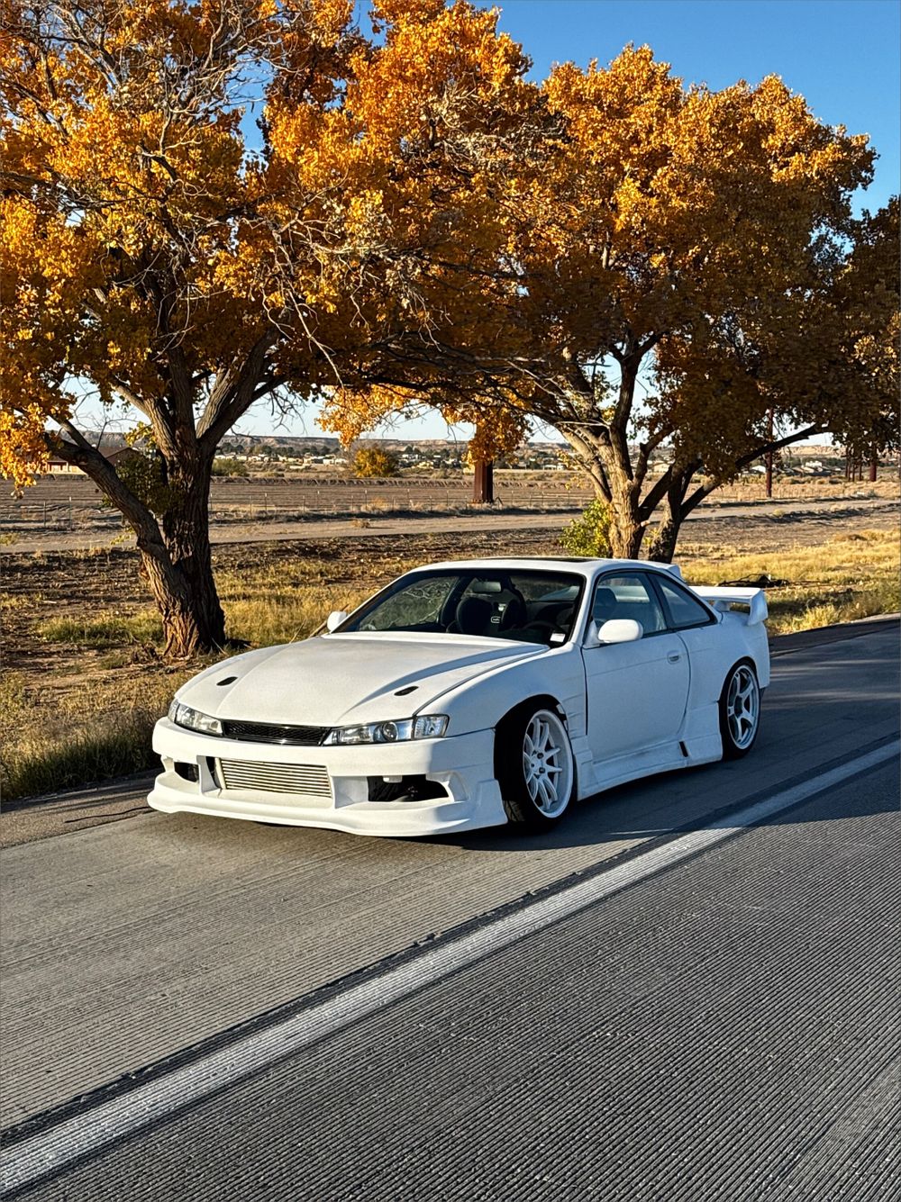 ikigomo OnlyFans profile picture