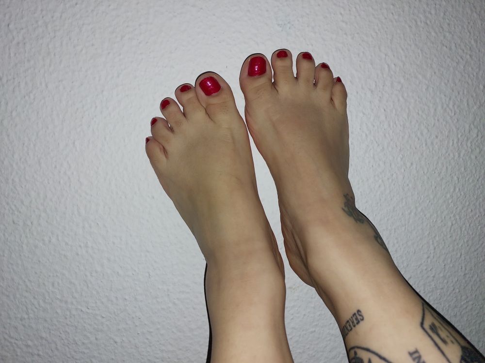 gigi.cat OnlyFans profile picture