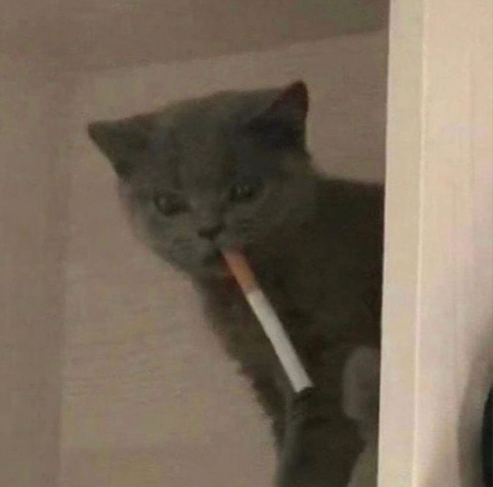indicawood OnlyFans profile picture