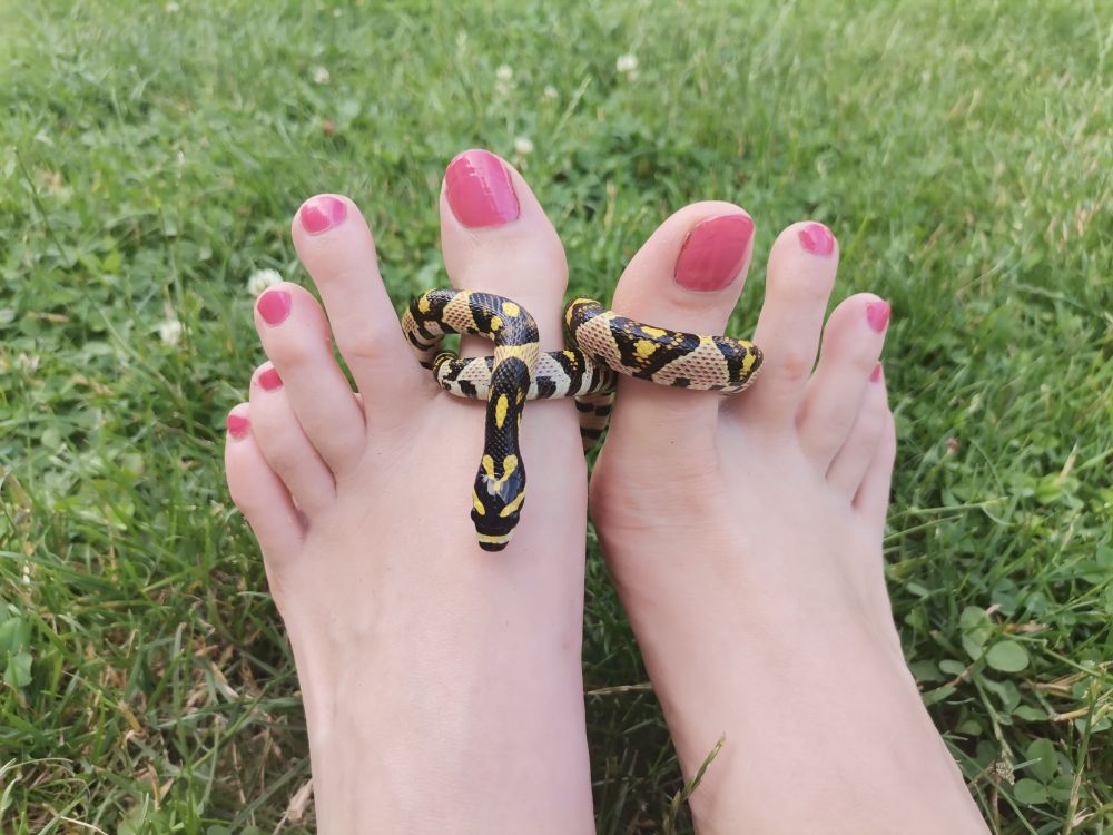 foot.and.snake OnlyFans profile picture