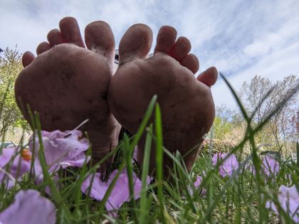 lilisprettyfeet OnlyFans picture