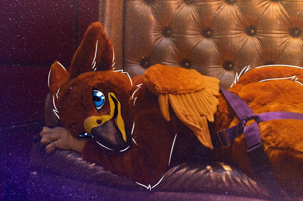 kinkygryphon OnlyFans profile picture