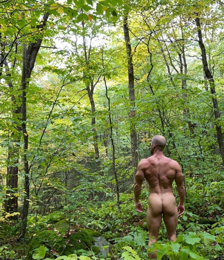 fitmusclenyc OnlyFans profile picture