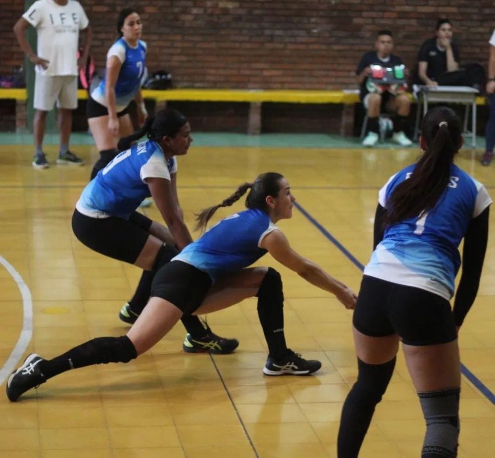clauvolleyball OnlyFans profile picture