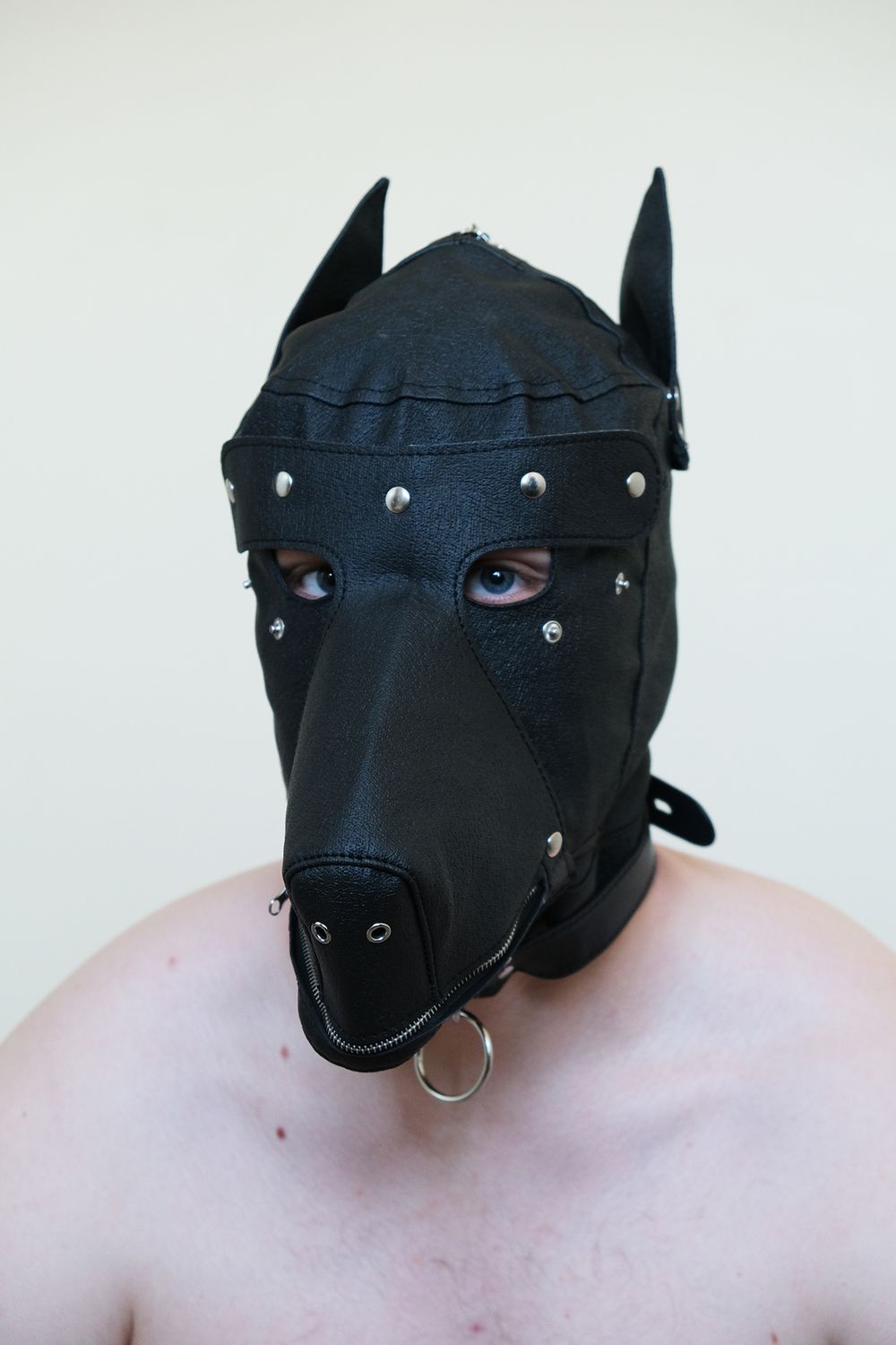 excitedfella OnlyFans profile picture