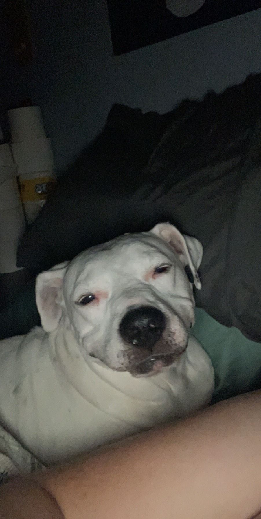bhawkins14 OnlyFans profile picture