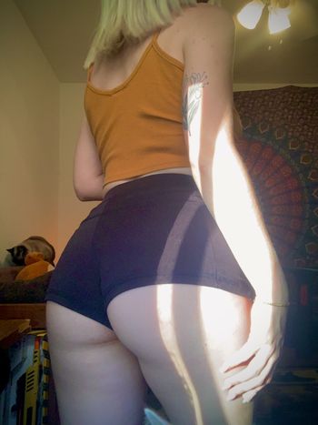 Holly Honeysuckle