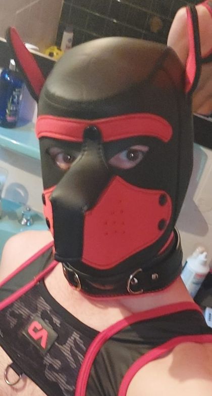 puppy_onyx OnlyFans picture