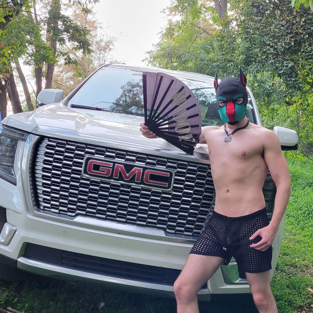 puplazarus OnlyFans profile picture