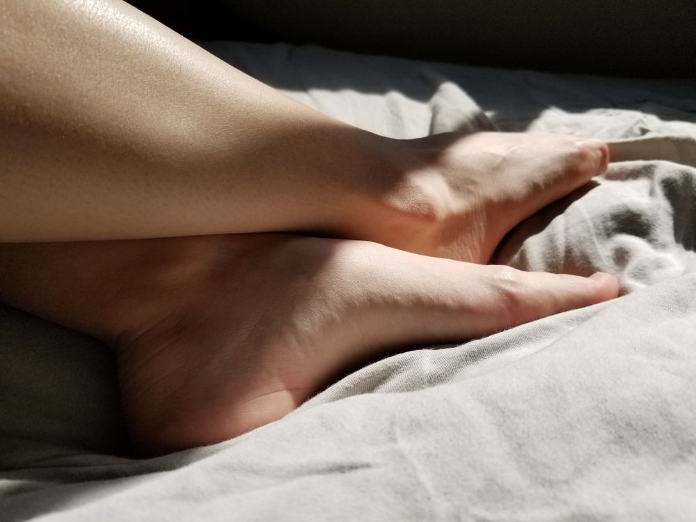 aanniefeets OnlyFans profile picture