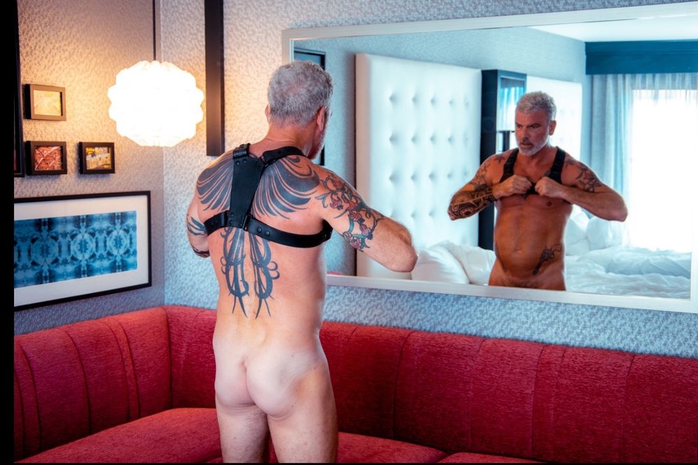 nakedsilverfox OnlyFans profile picture
