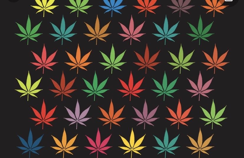 kushbaby420l OnlyFans profile picture