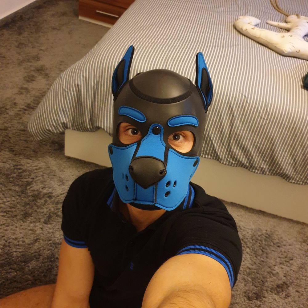 puppy_yasha OnlyFans profile picture