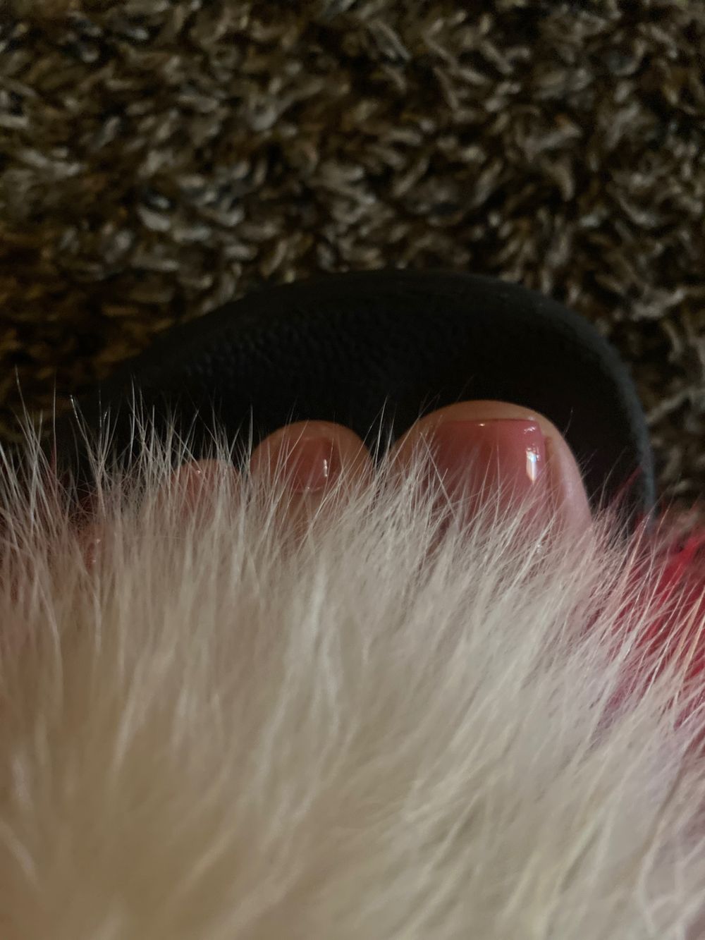 mimislovelyfeet OnlyFans profile picture