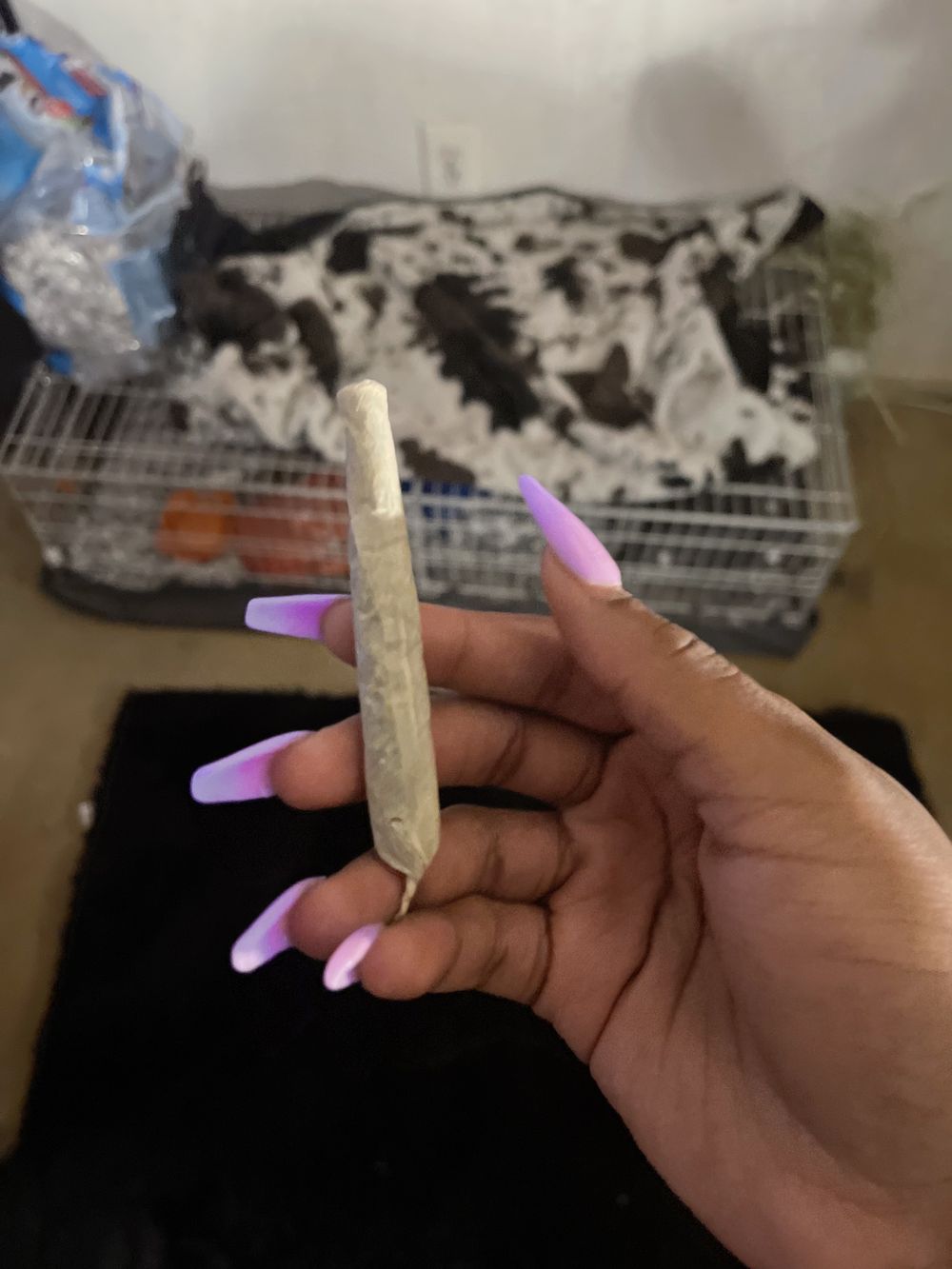 freaknastybnasty OnlyFans profile picture