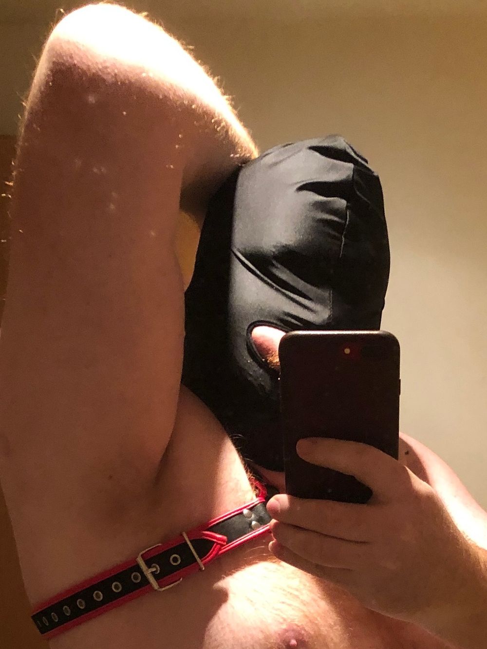 oralproie OnlyFans profile picture