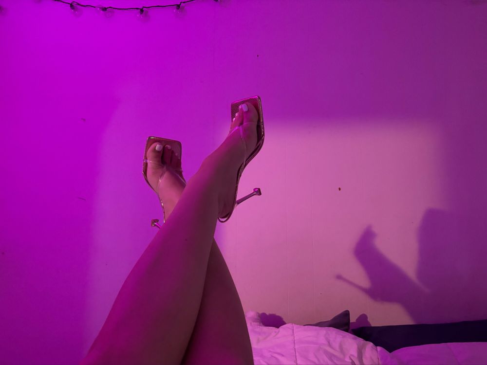 pawgmilk OnlyFans profile picture