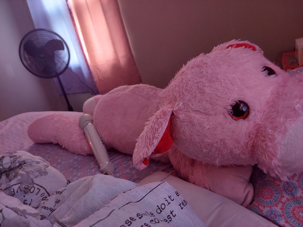 prettypiggy1256 OnlyFans profile picture