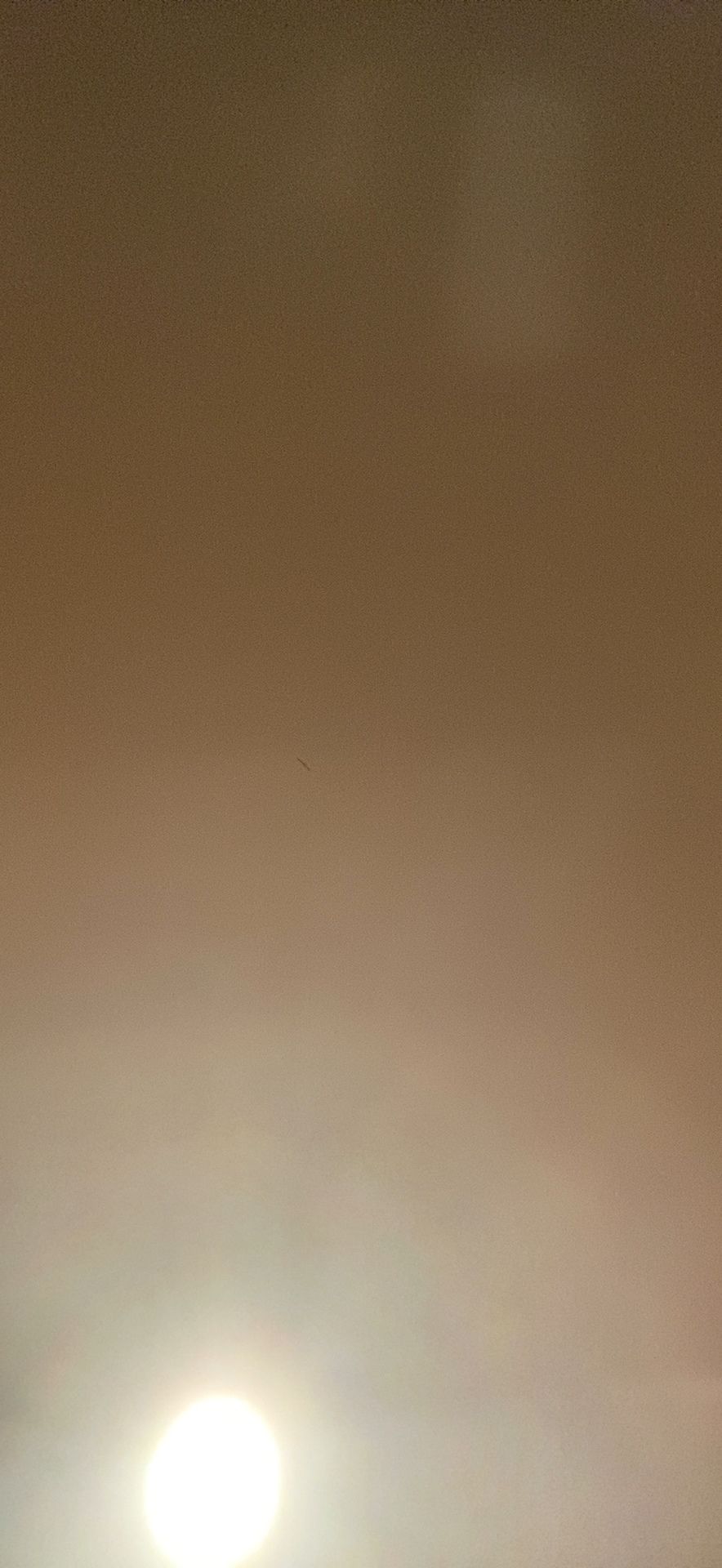 theyadorek OnlyFans profile picture