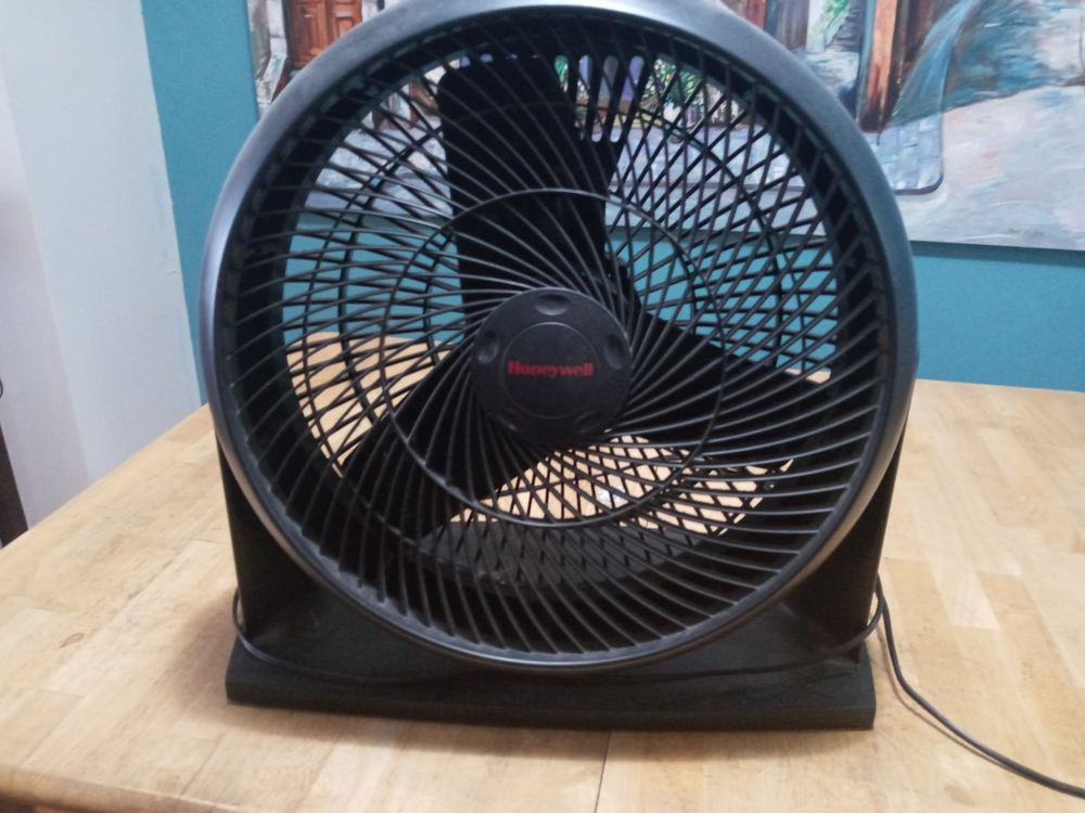 abigfanfan OnlyFans profile picture