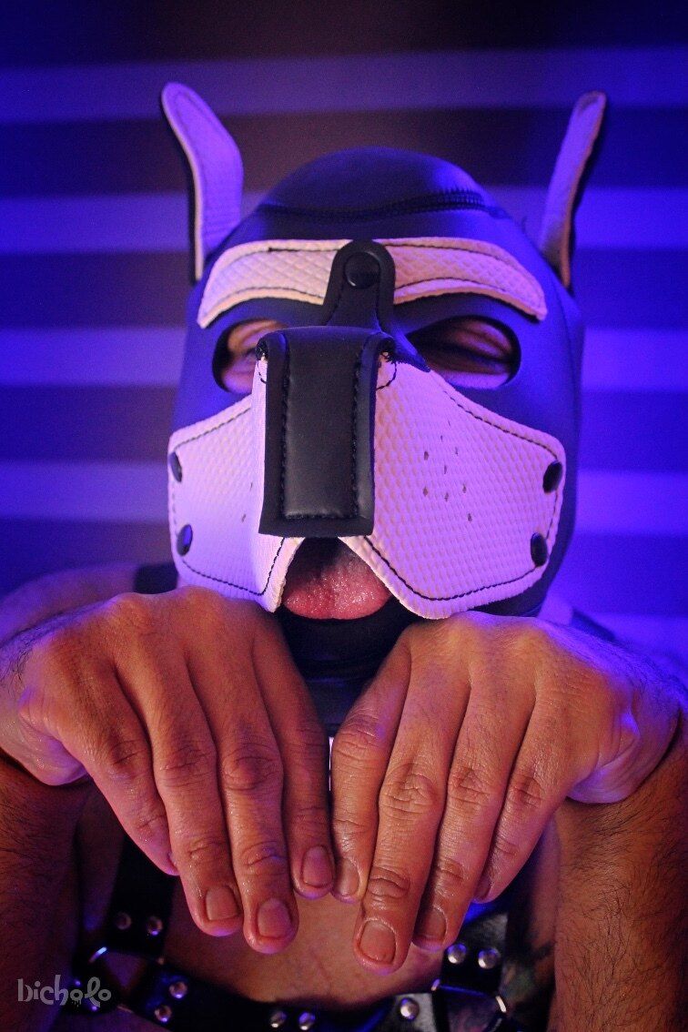 morfeowolf OnlyFans profile picture