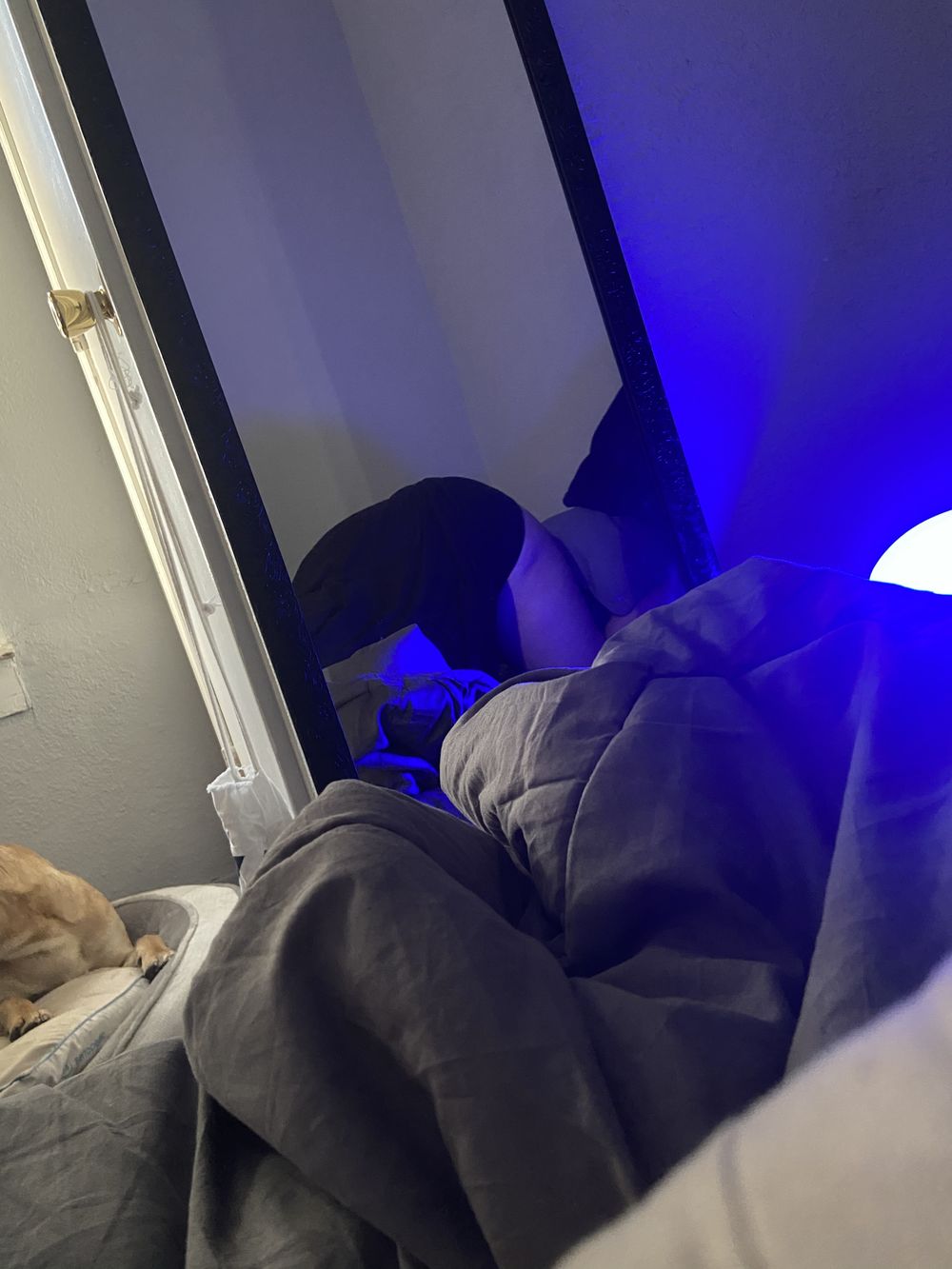 lilbxxxby OnlyFans profile picture