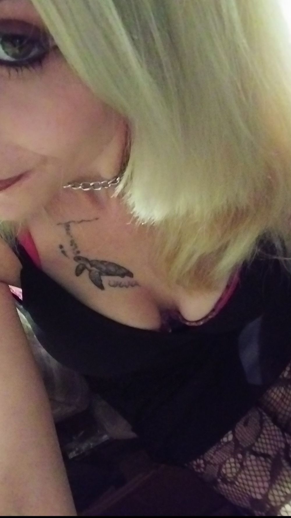 kaylee.nicole3 OnlyFans profile picture
