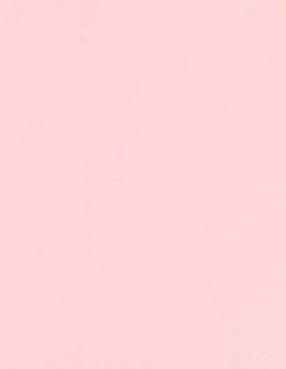 hibyebri OnlyFans profile picture